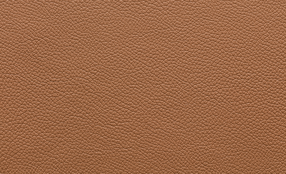 Polo 14