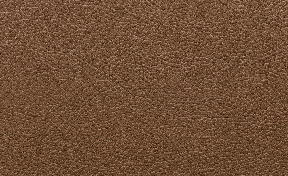 Polo 15