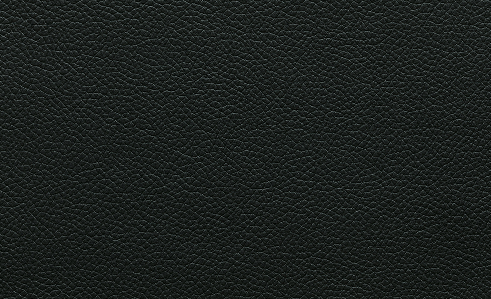 Polo 19