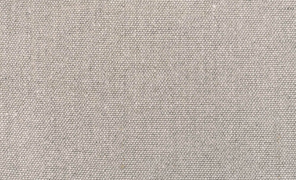 Yucca 04