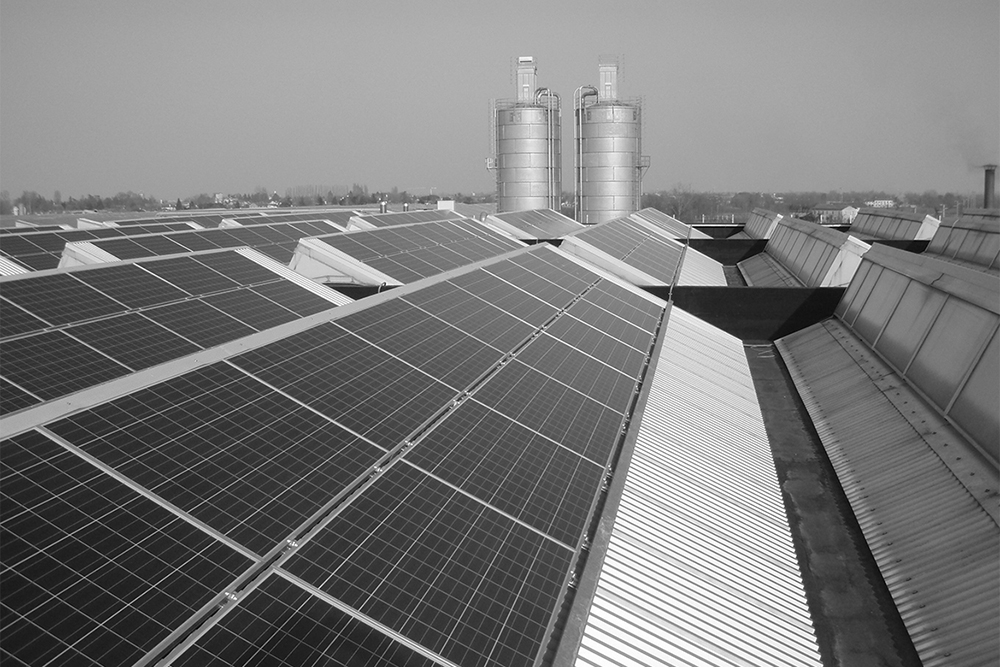 Energia rinnovabile