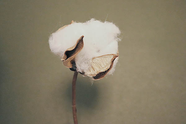 We wear sustainability