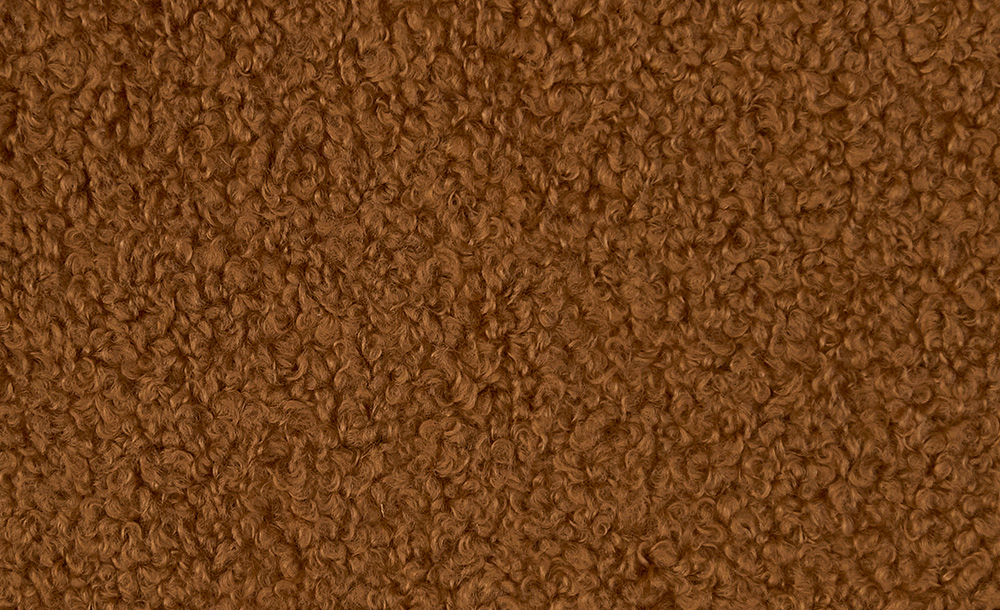 Acacia 05