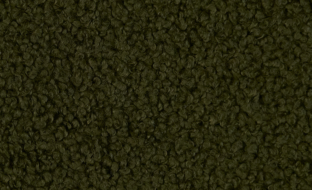 Acacia 14
