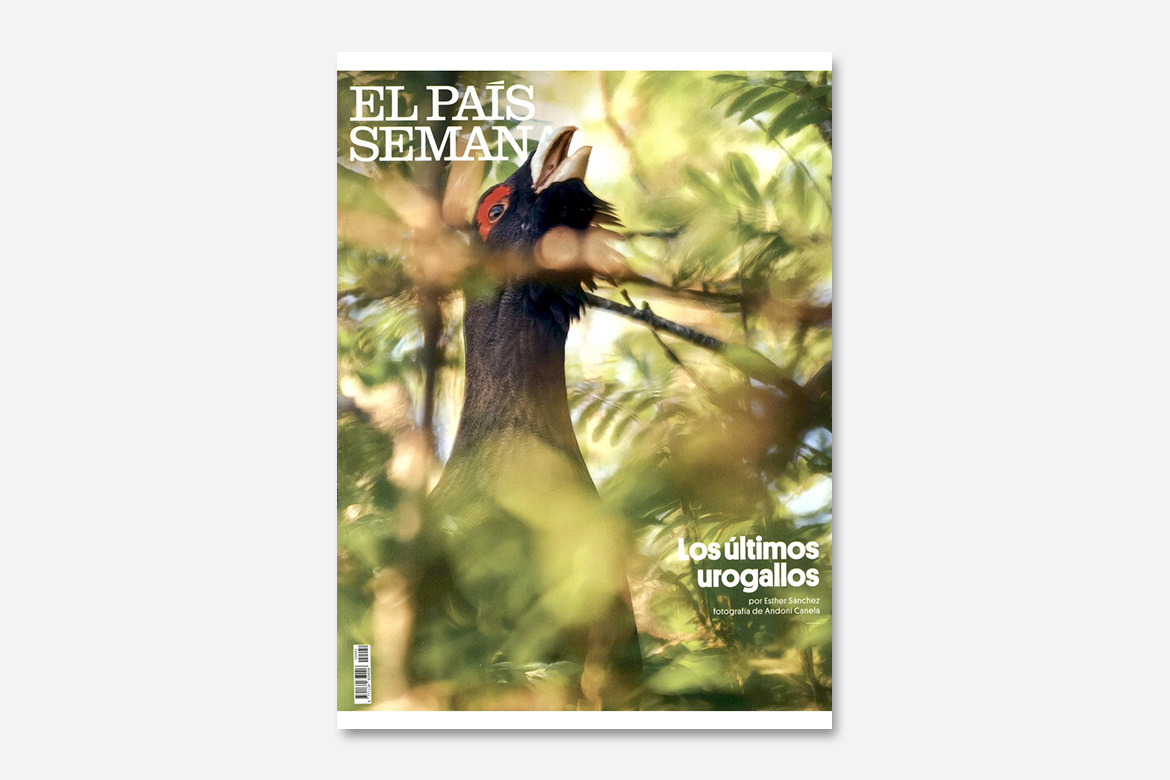 Single PDF