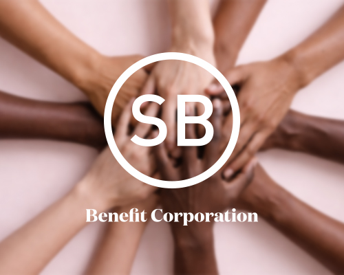 https://zilvorqena.live/wp-content/uploads/2026/03/Benefit-Corporation.jpg